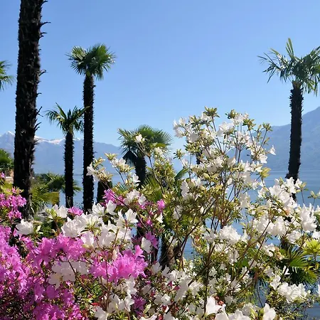 Garni Rivabella Au Lac Hotel Brissago