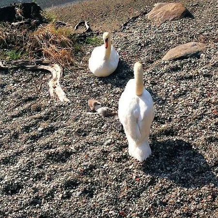 Garni Rivabella Au Ξενοδοχείο Brissago